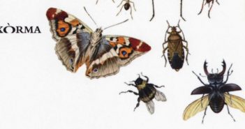 Lafcadio Hearn – Le farfalle danzano e le formiche si ingegnano