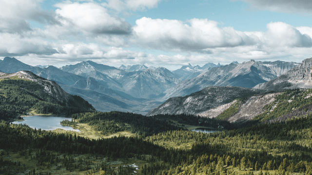 Ma le bambine sole si perdono nei boschi?