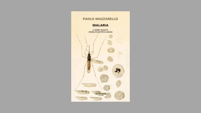 Un premio, due verit&agrave;