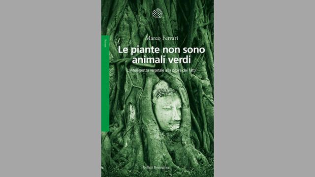Funghi e piante per ripensare il mondo