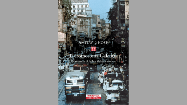 <p>Lungo viaggio verso la Parola</p>