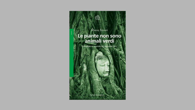 Funghi e piante per ripensare il mondo