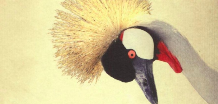 Olivier Bourdeaut: Aspettando Bojangles, il mio omaggio all’amore folle Bourdeaut