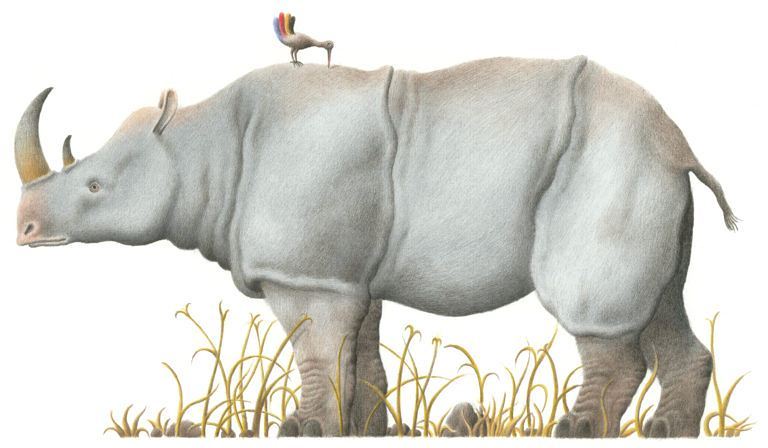 #IndiceBCBF – Gli artisti di Bologna sul numero di aprile Bologna Children's Book Fair
