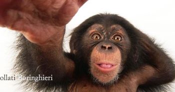 Jared Diamond – L’evoluzione dell’animale umano Jared Diamond - L'evoluzione dell'animale umano
