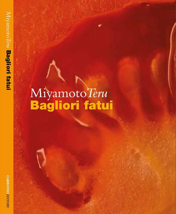 Miyamoto Teru - Bagliori fatui