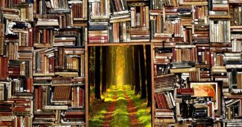 Come la lettura contemporanea trae forza dalla sua marginalità Come la lettura trae forza dalla sua marginalità