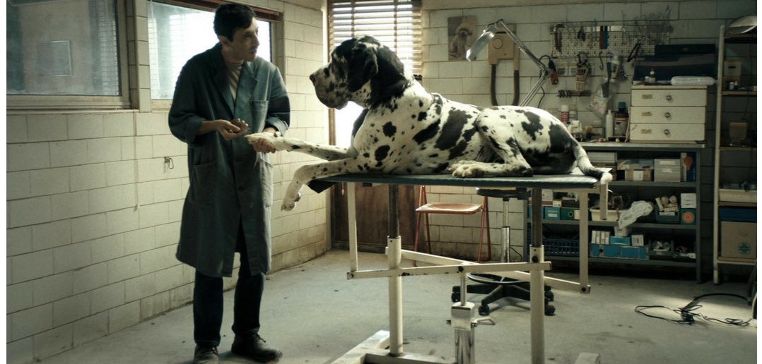 Cannes 71: Matteo Garrone - Dogman