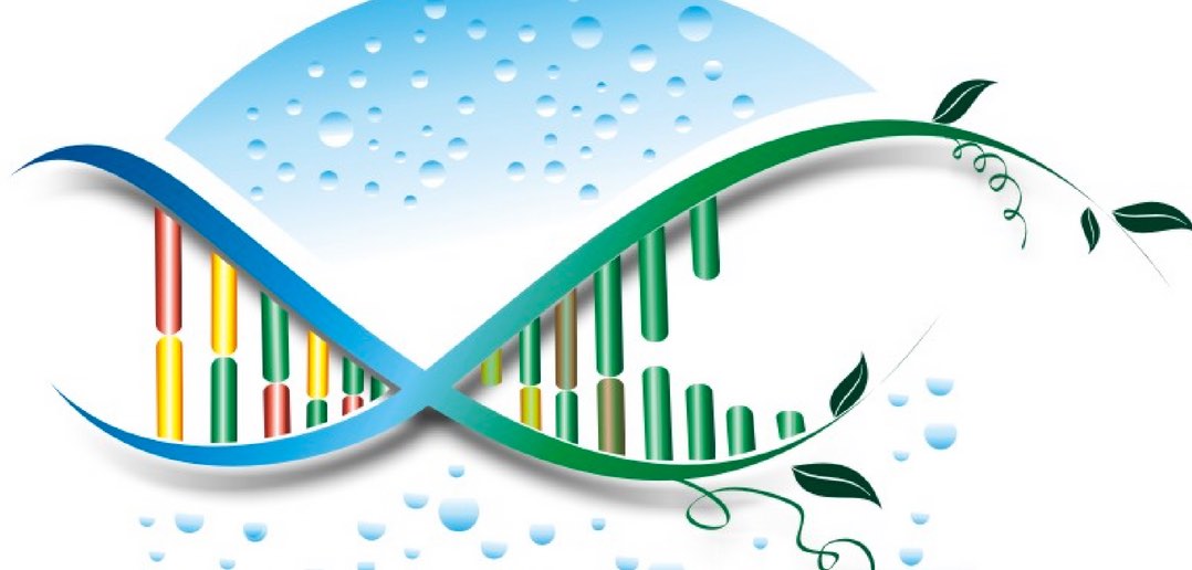 Gianfranco Santovito - Insegnare la biologia ai bambini